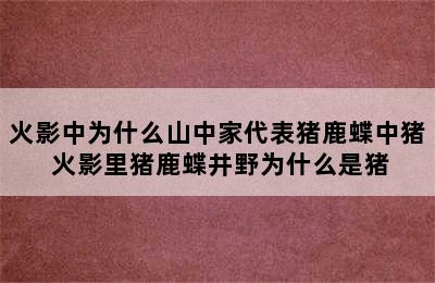 火影中为什么山中家代表猪鹿蝶中猪 火影里猪鹿蝶井野为什么是猪